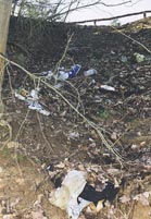 Müllbiotop Konradsfels